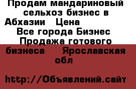 Продам мандариновый сельхоз-бизнес в Абхазии › Цена ­ 1 000 000 - Все города Бизнес » Продажа готового бизнеса   . Ярославская обл.